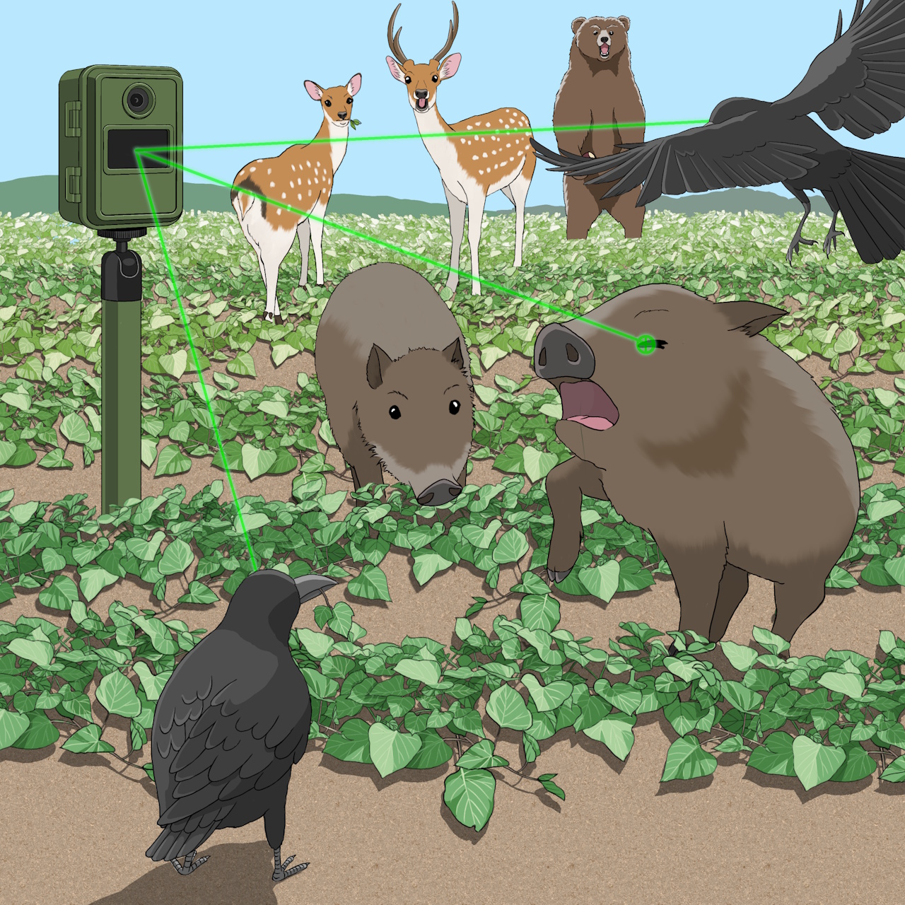 鳥獣忌避システム